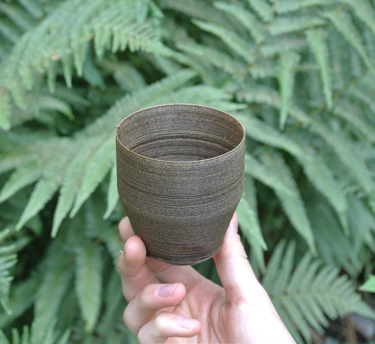 ¿Cuál es la Diferencia Entre Biodegradable y Compostable? ¿Cuál es la Diferencia Entre Biodegradable y Compostable?