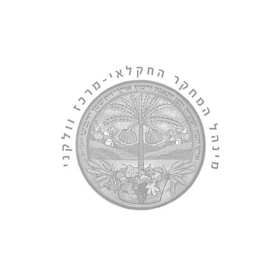 מכון וולקני