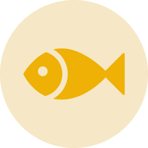 icona pesce