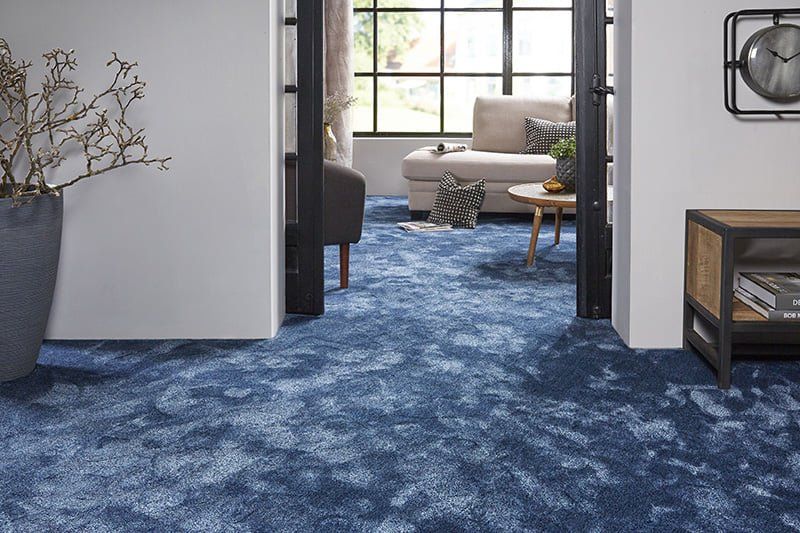 plush blue carpet