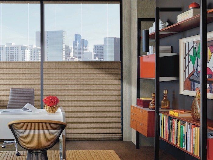 vignette roman shades & bookshelves