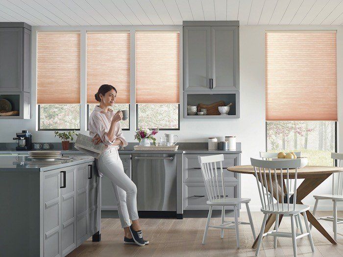 Hunter Douglas duette shades