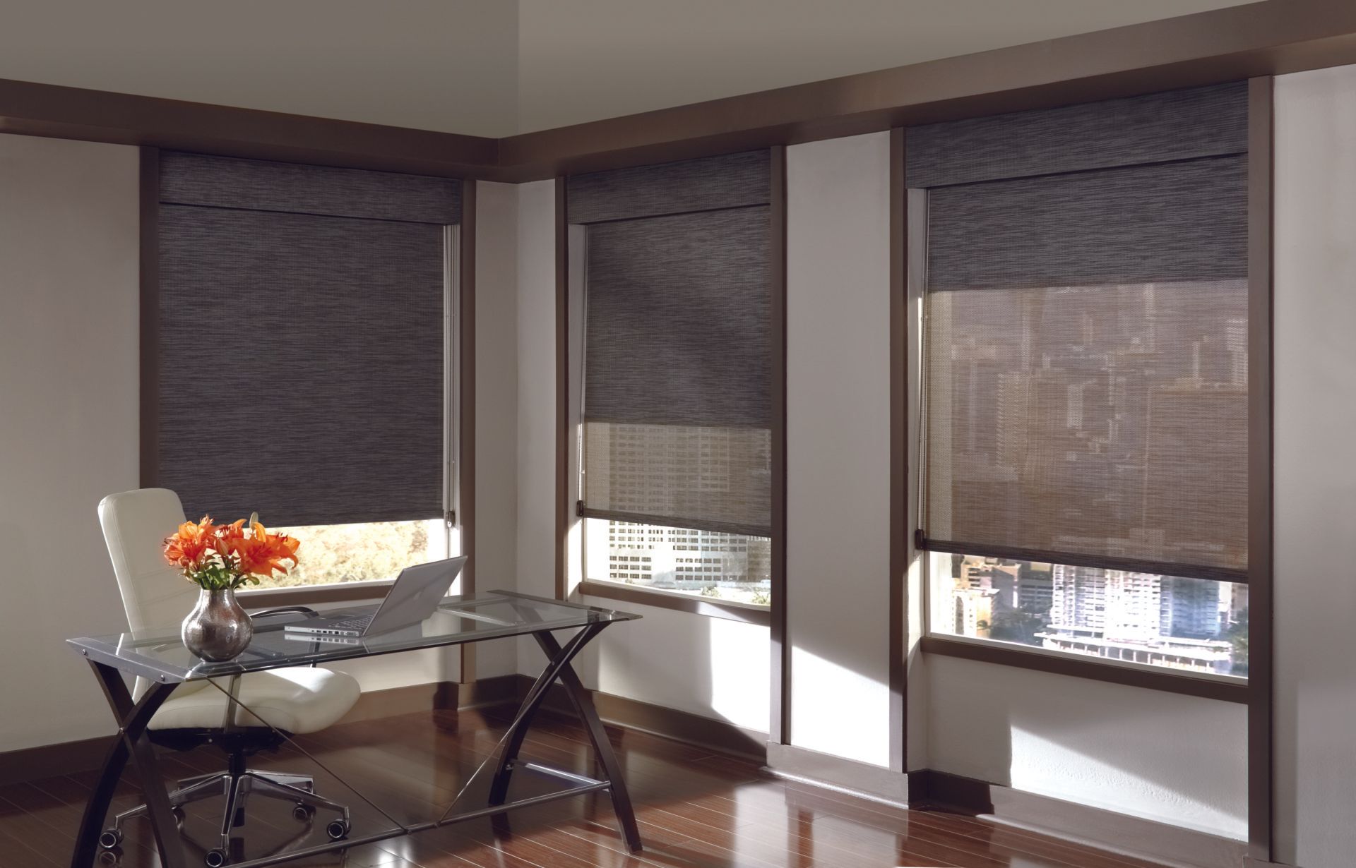 Roller Shades for the Office