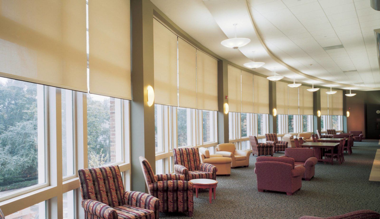 Call Window Spaces for info on motorized shades: 760-994-5539 motorized beige solar shades