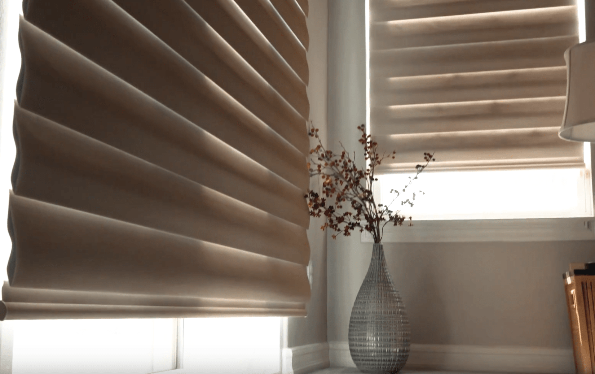 Hunter Douglas Pirouttes Shades