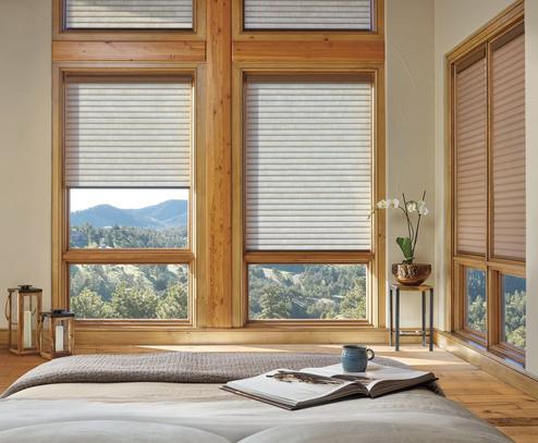 Window Treatments in bedroom