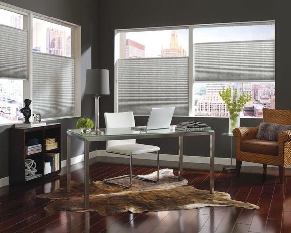 Top Down Bottom Up Shades in office windows