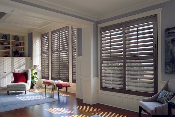 Interior Shutters in office