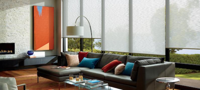 Hunter Douglas ​​Alustra Shades in living room