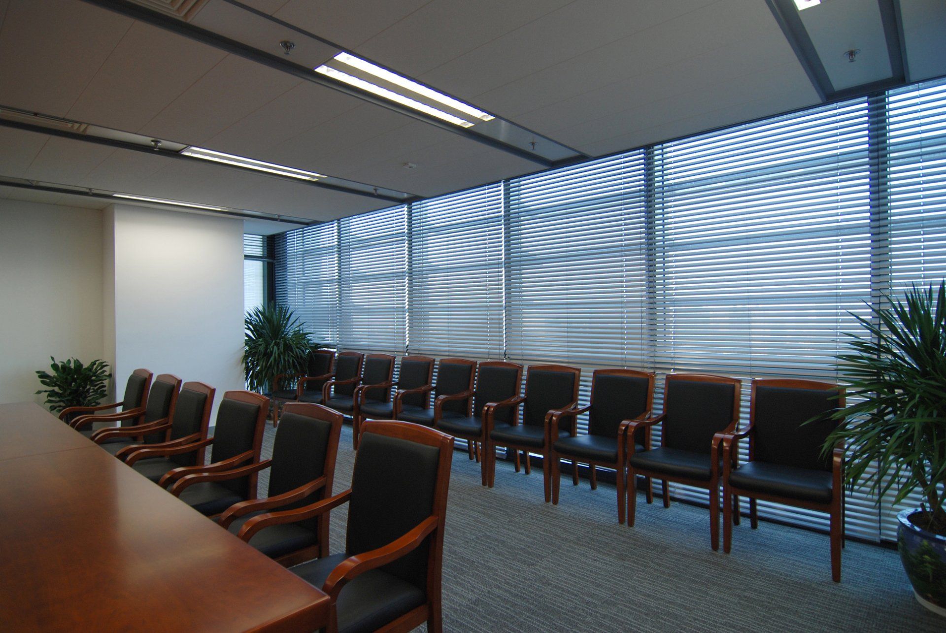 Commercial Blinds