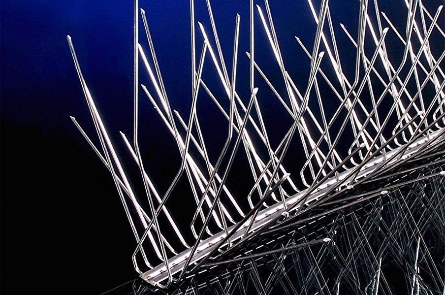 Architecture