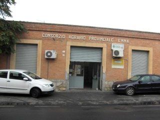 due macchine parcheggiate davanti al Consorzio Agrario