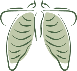 A drawing of a person 's chest and lungs
