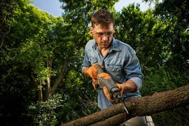 tree removal