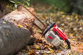 cutting down a tree