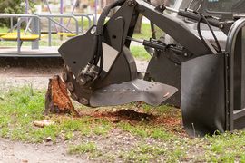 stump removal