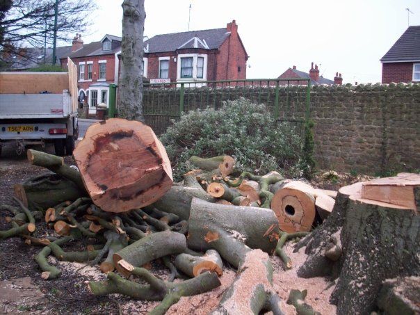 Stump removal