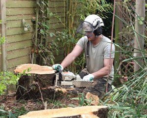 Stump removal