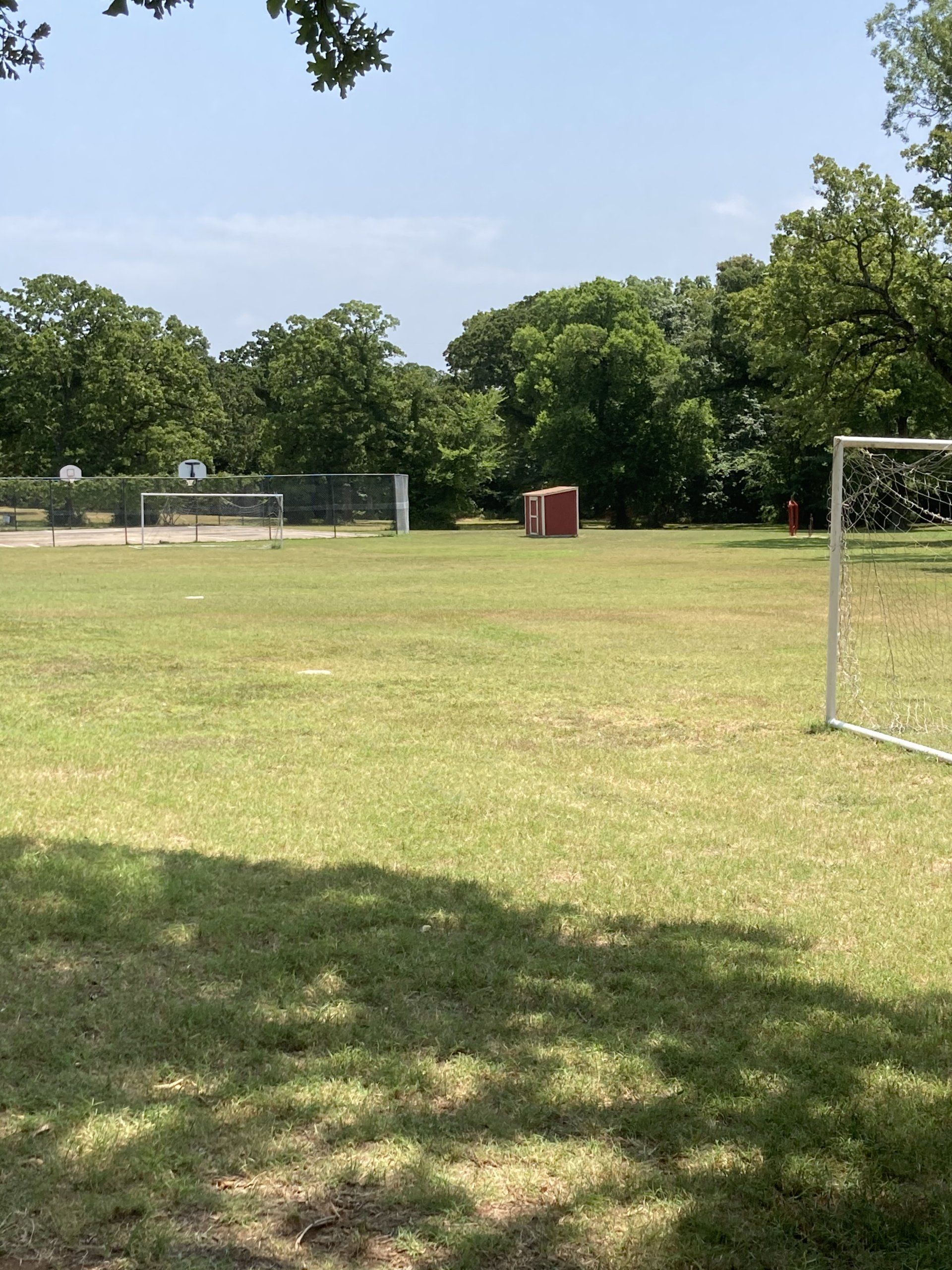 A grassy park with trees, a red box, and a soccer goal on a sunny day.