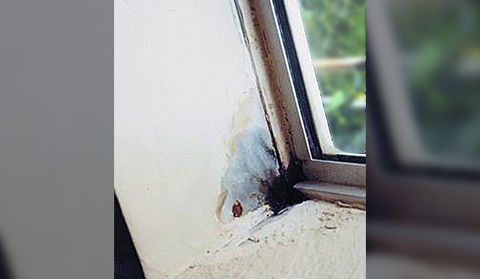 window