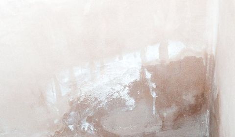 damp treatment