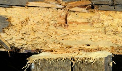 wood