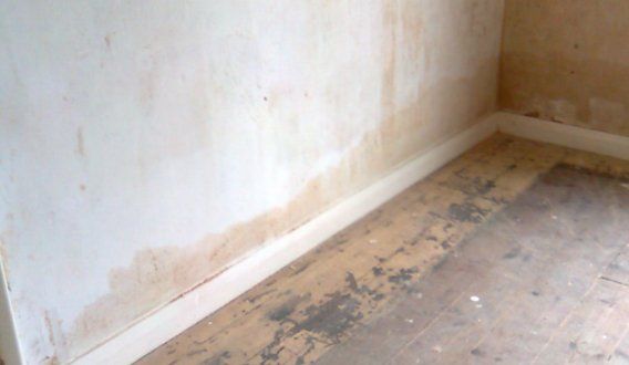 Rising damp