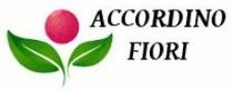 ACCORDINO FIORI LOGO