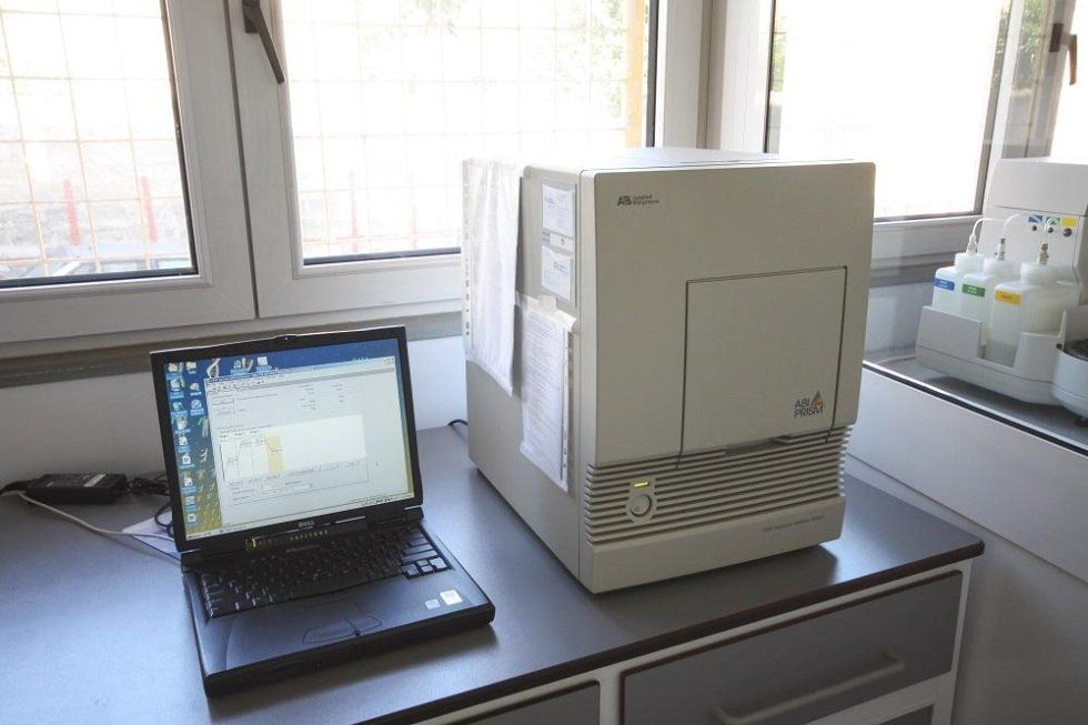 Computer nel laboratorio San Luca Diagnostica
