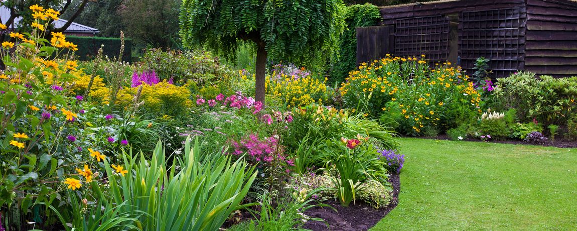 Landscape gardening by professionals