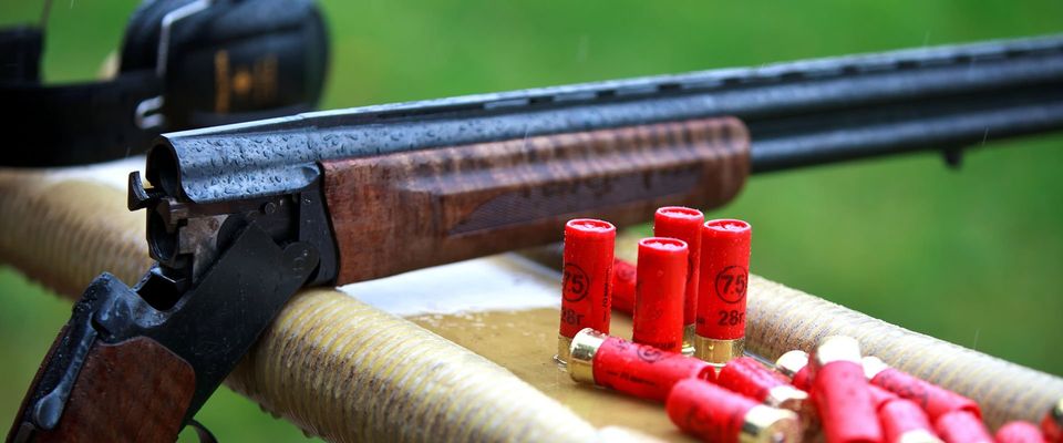 Shot guns