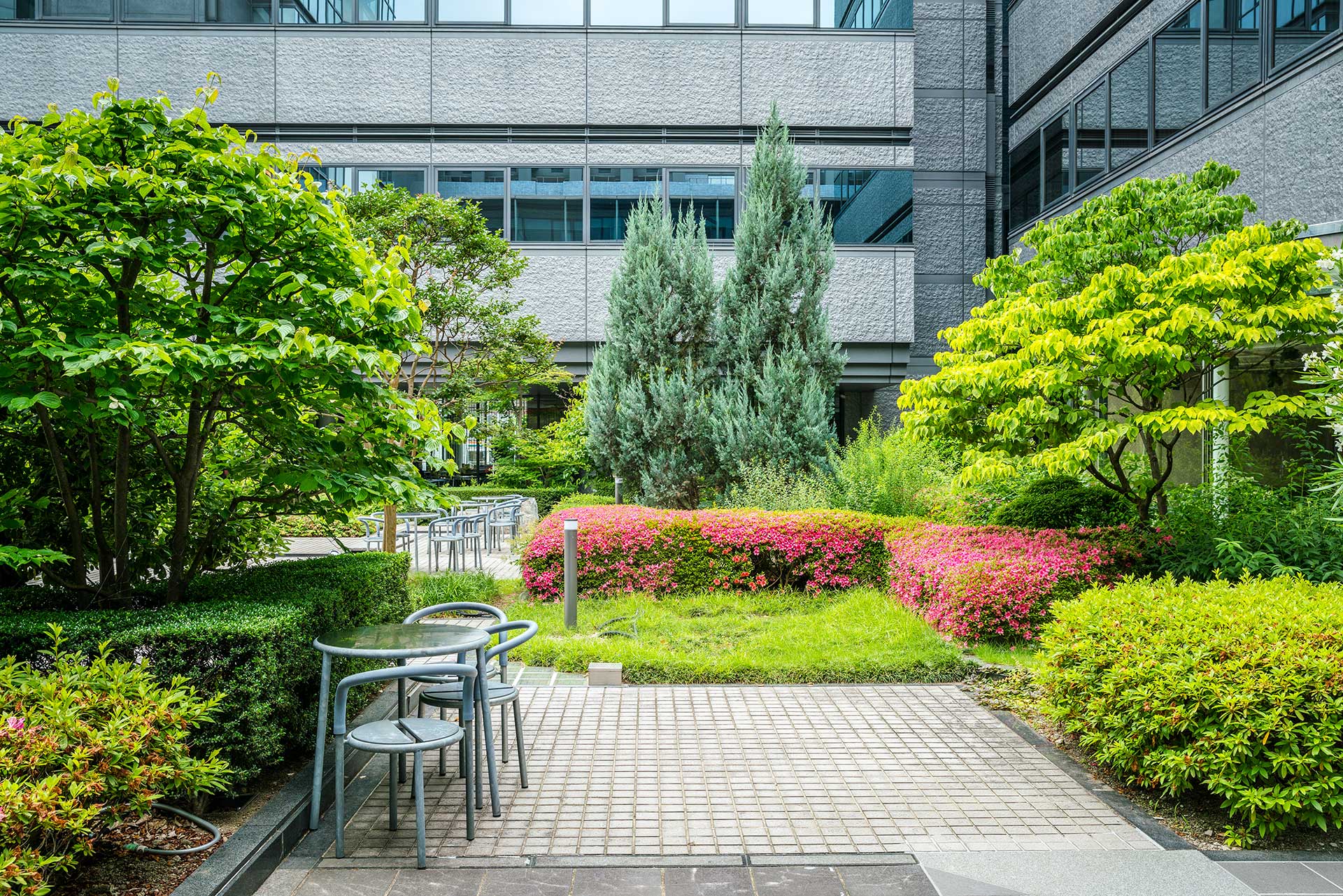 Commercial Landscape Management
