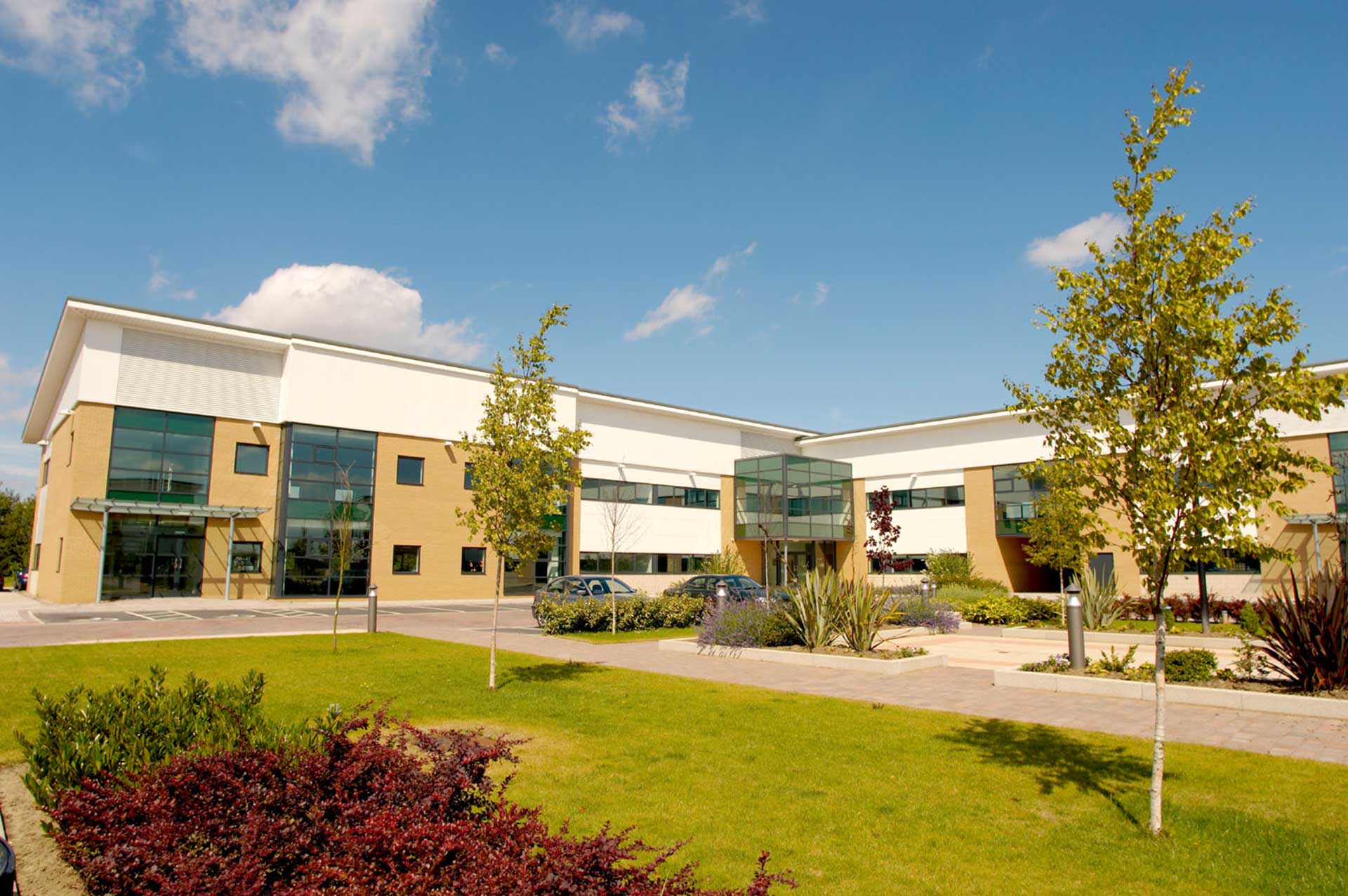 Commercial Landscape Management service