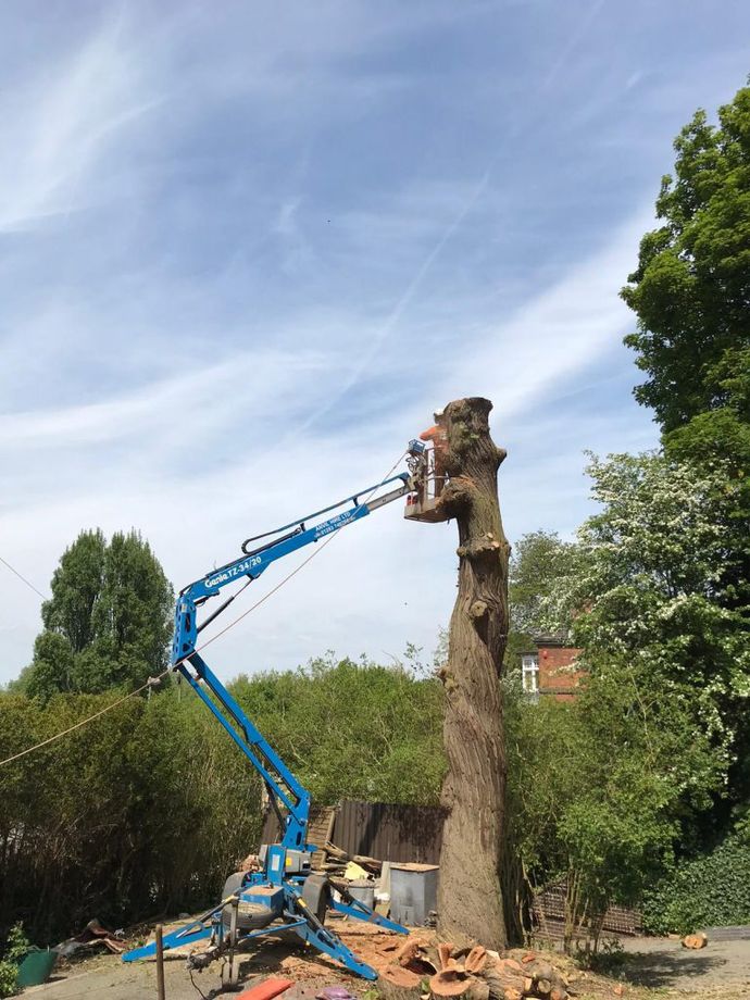 Vegetation clearance