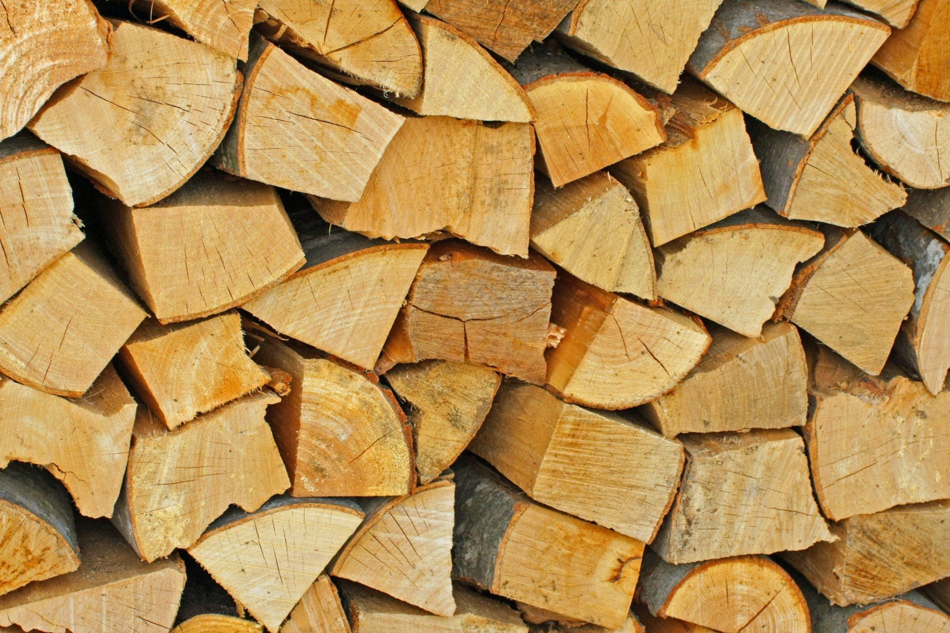 Firewood