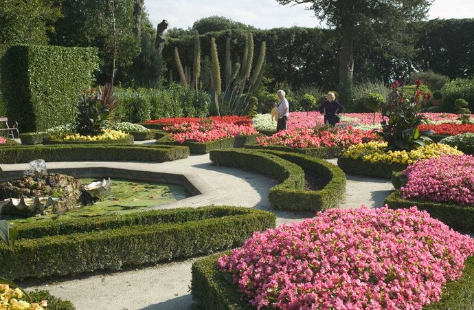 Commercial landscaping