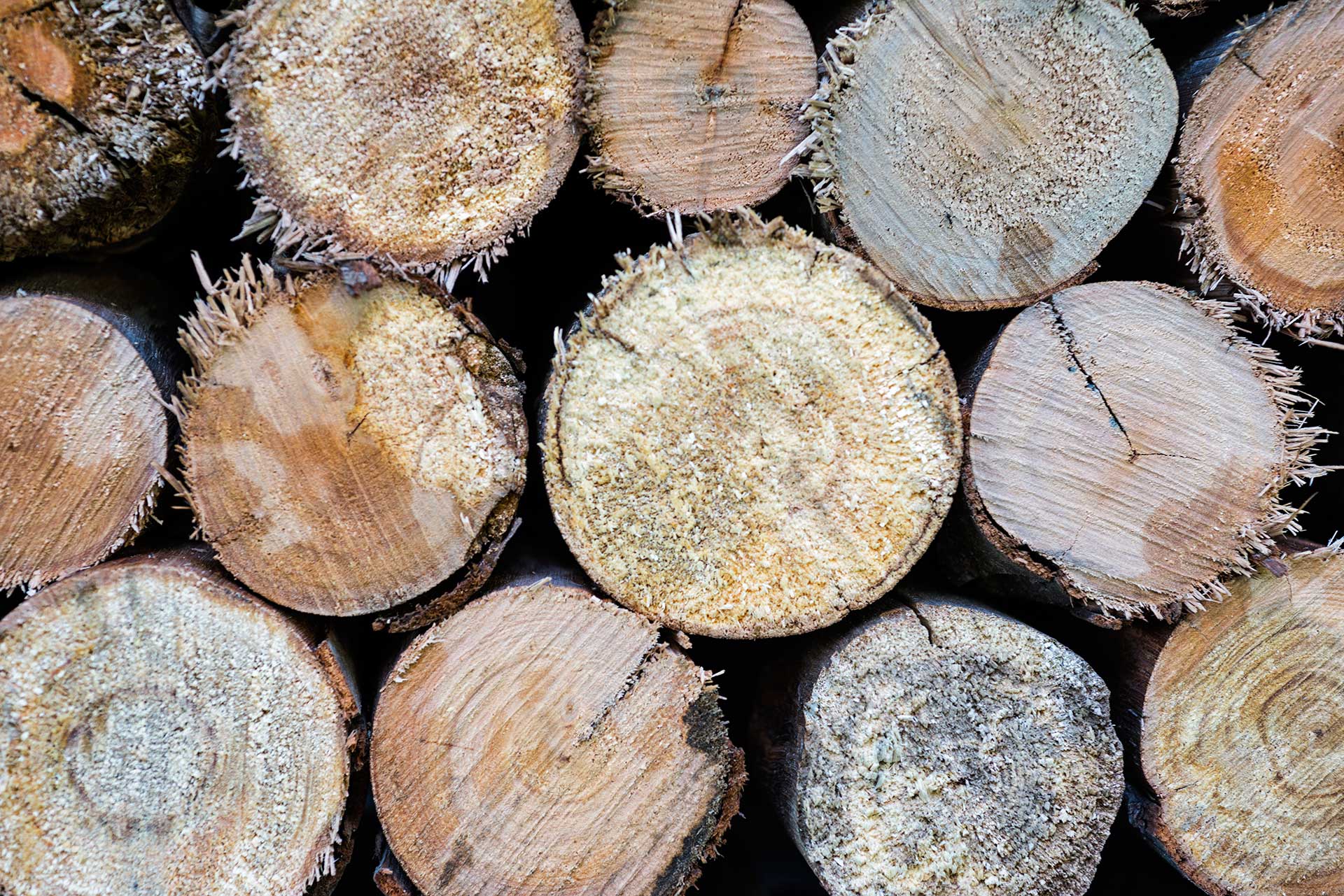 Firewood for sale