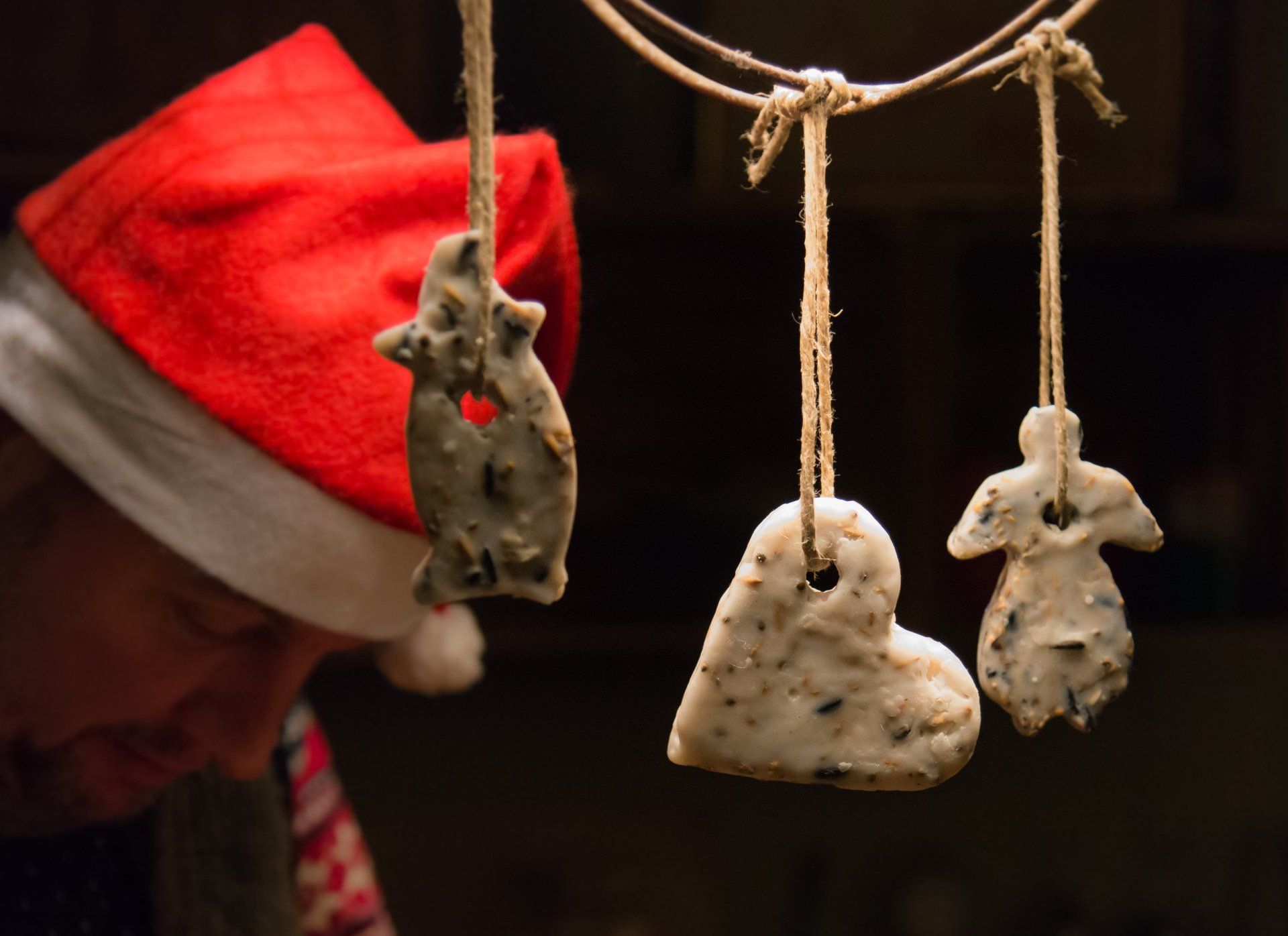 Julpyssla till våra vilda grannar - gör egen fågelmat!