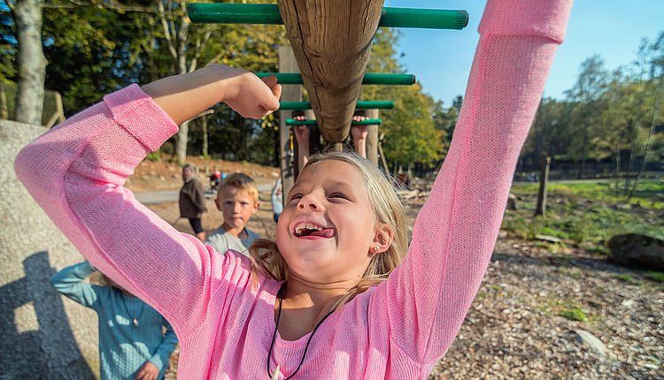 Naturlekplats i Skånes Djurpark - kul för både små och stora!