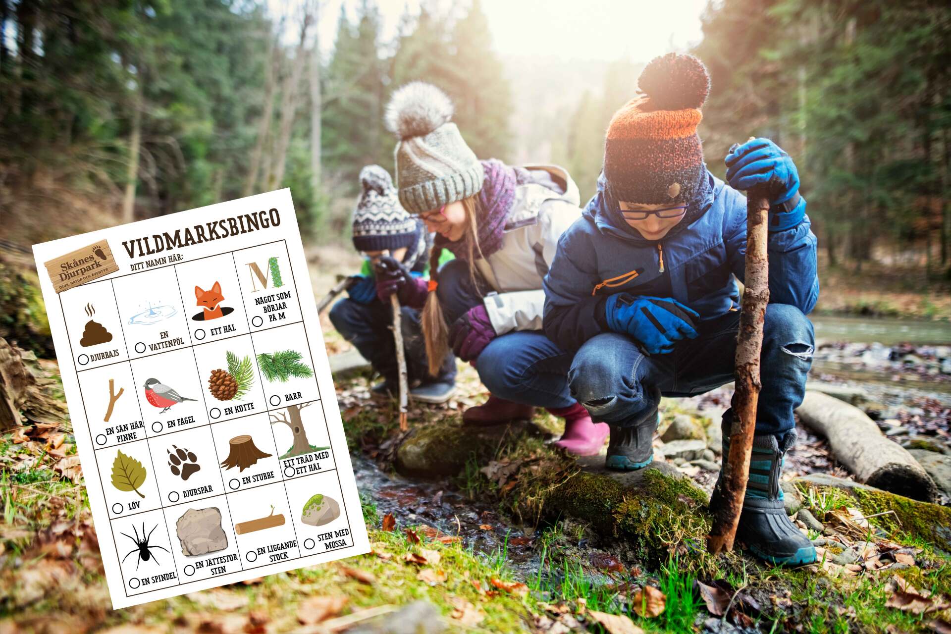 Ge er ut på vildmarksbingo i naturen