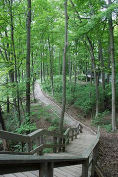 Flamborough Real Estate and Relocation Guide