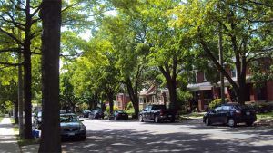 West Hamilton Real Estate Agents