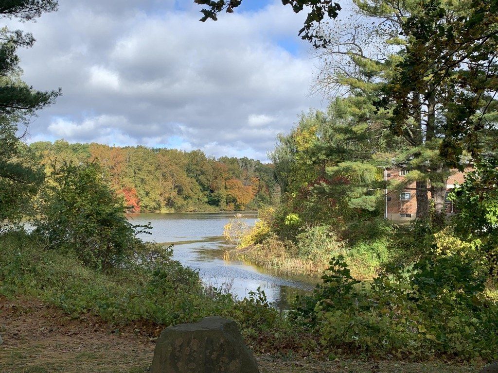 lakeview