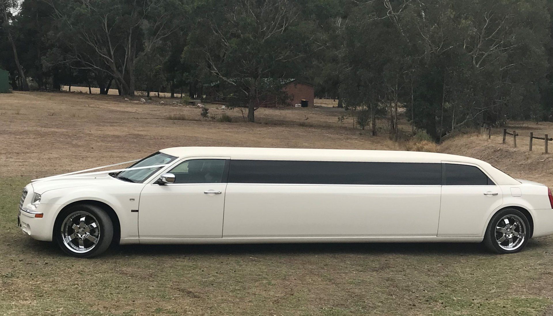 Arrived in Style