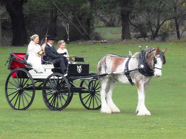 Arrived in Style