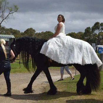 bride and groom with Cheryl Warry Wedding Celebrant