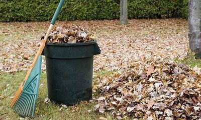 garden clearance