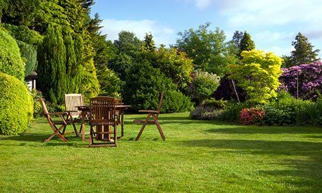 table and chairs in a garden