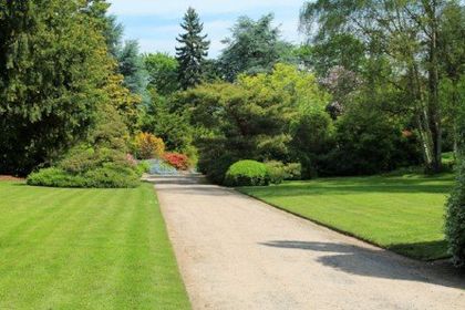 pathway in a garden