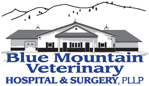 Blue Mountain Veterinary Hospital & Surgery PLLC Blue Mountain Veterinary Hospital & Surgery PLLC